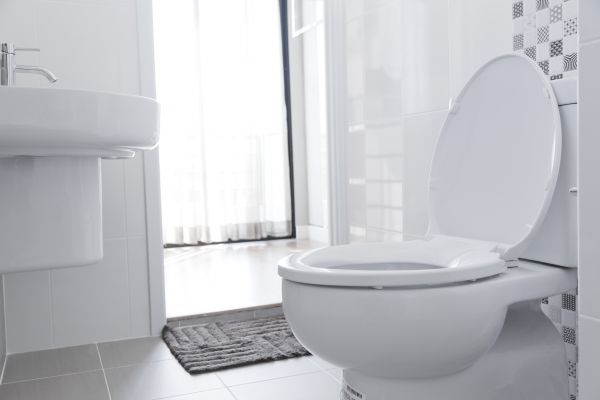 Cost of Toilet Relocation in Livonia