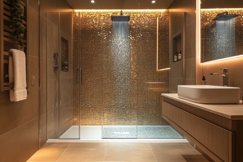 Elegant Shower Installation