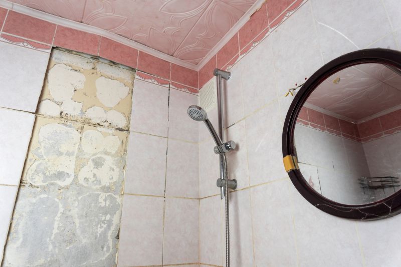 Top Shower Remodeling Companies in Wixom, MI