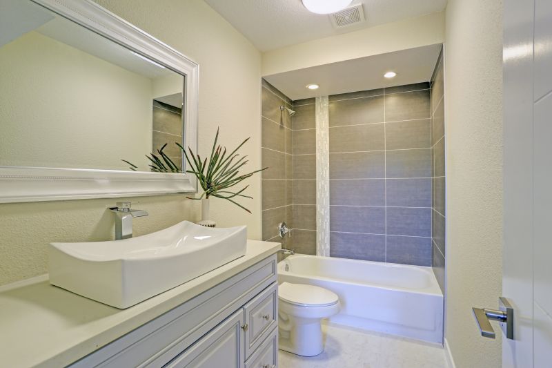 Top Tub To Shower Conversion Companies in Roseville, MI